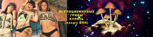 кокс Баксан