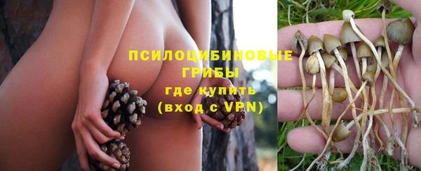кокс Баксан