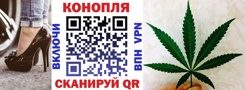где можно купить   Суворов  Конопля SATIVA & INDICA 